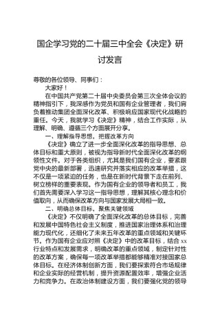 国企学习党的二十届三中全会《决定》研讨发言