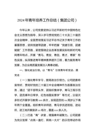 2024年青年培养工作总结（集团公司）