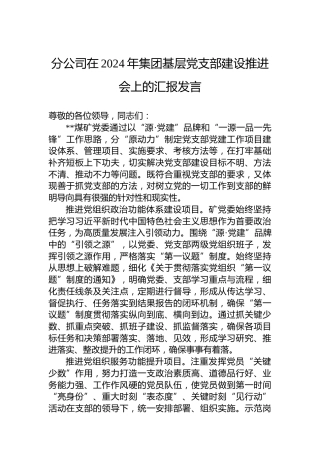 分公司在2024年集团基层党支部建设推进会上的汇报发言