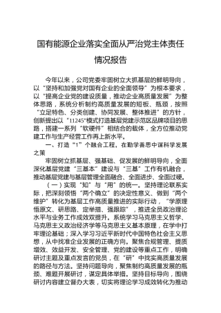 2024年国有能源企业落实全面从严治党主体责任情况报告