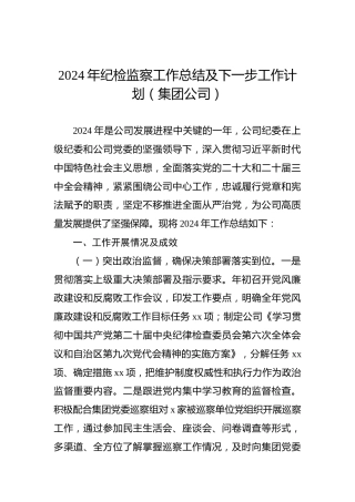 2024年纪检监察工作总结及下一步工作计划（集团公司）