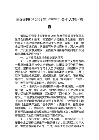国企副书记2024年民主生活会个人对照检查