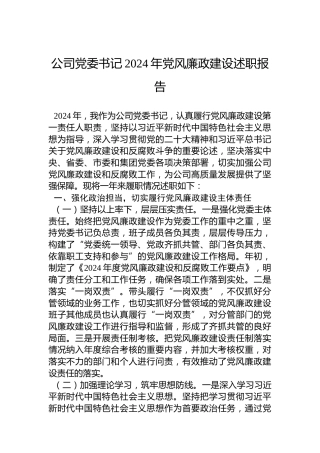公司党委书记2024年党风廉政建设述职报告