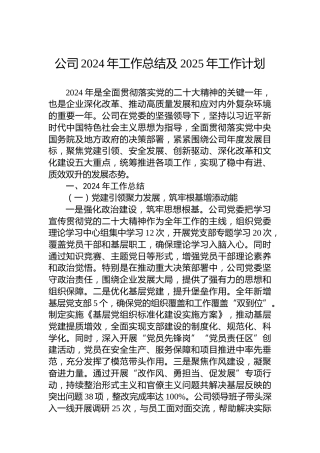 公司2024年工作总结及2025年工作计划