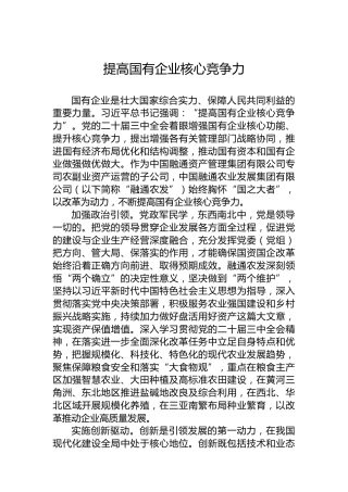 提高国有企业核心竞争力