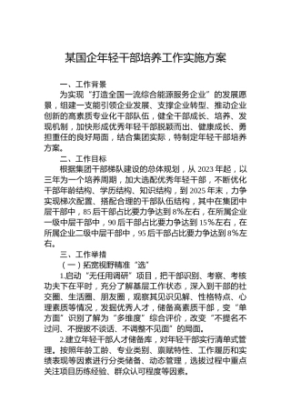 某国企年轻干部培养工作实施方案