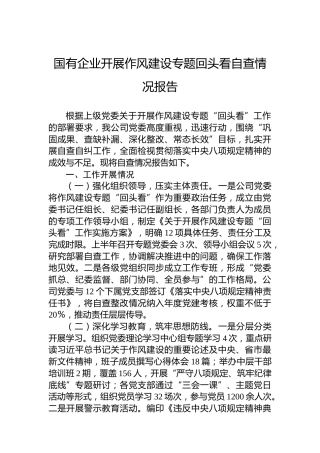 国有企业开展作风建设专题回头看自查情况报告