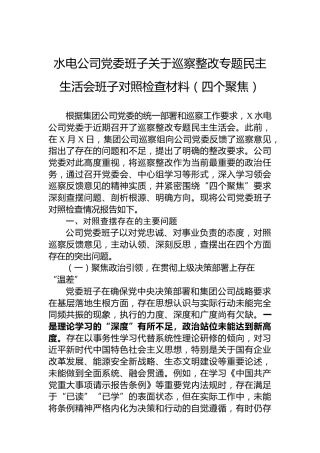 水电公司党委班子关于巡察整改专题民主生活会班子对照检查材料（四个聚焦）