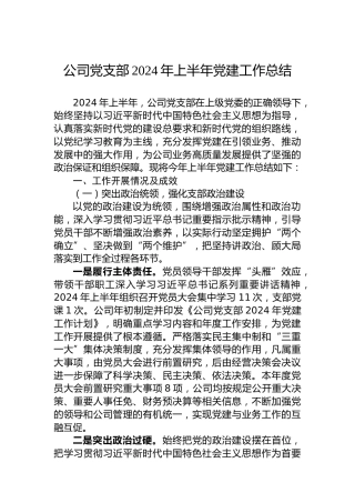 公司党支部2024年上半年党建工作总结-2