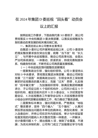 在2024年集团党委巡视“回头看”动员会议上的汇报