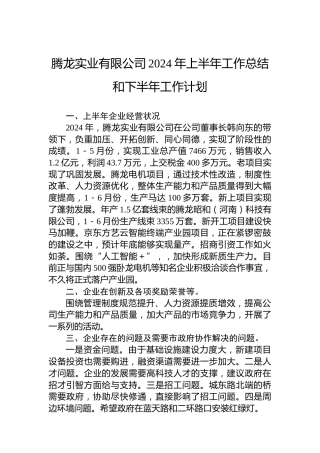 腾龙实业有限公司2024年上半年工作总结和下半年工作计划