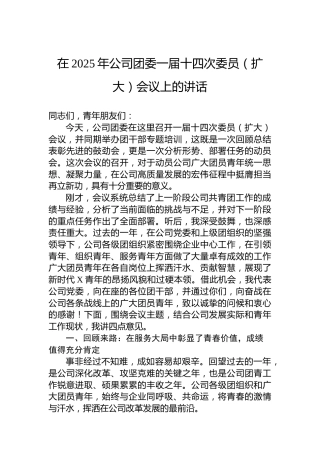 在2025年公司团委一届十四次委员（扩大）会议上的讲话