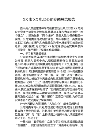 XX市XX电网公司专题总结报告