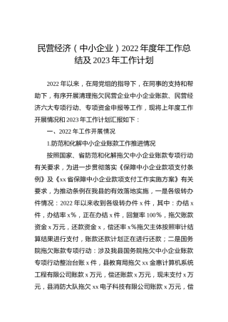 民营经济（中小企业）2022年度年工作总结及2023年工作计划