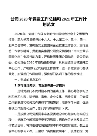 公司2020年党建工作总结和2021年工作计划范文
