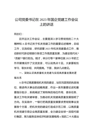 公司党委书记在2023年国企党建工作会议上的讲话