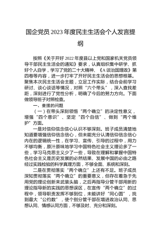 国企党员2023年度民主生活会个人发言提纲