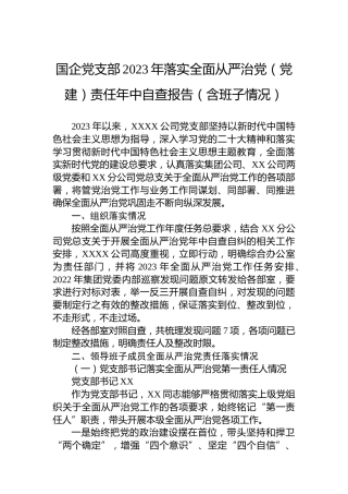 国企党支部2023年落实全面从严治党（党建）责任年中自查报告（含班子情况）