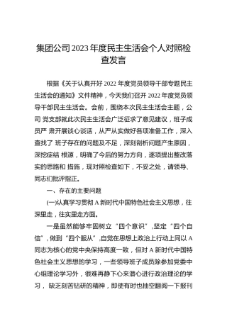 集团公司2023年度民主生活会个人对照检查发言