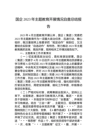 国企2023年主题教育开展情况自查总结报告