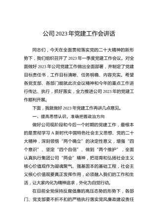公司2023年党建工作会讲话