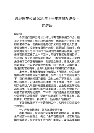 总经理在公司2023年上半年营销系统会上的讲话