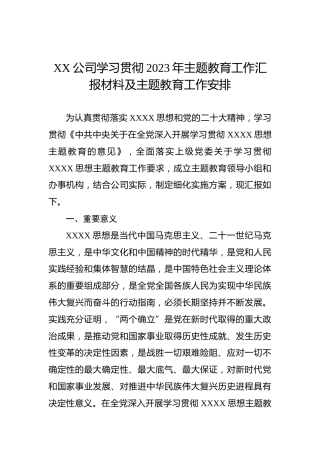 XX公司学习贯彻2023年主题教育工作汇报材料及主题教育工作安排