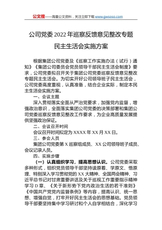 公司党委2022年巡察反馈意见整改专题民主生活会实施方案