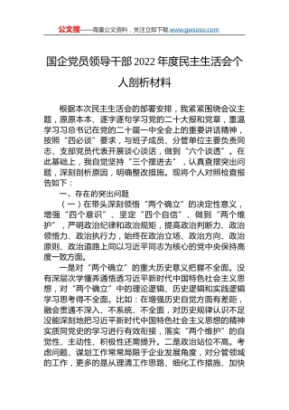 国企党员领导干部2022年度民主生活会个人剖析材料