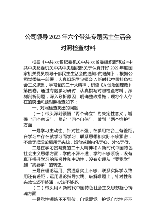 公司领导2023年六个带头专题民主生活会对照检查材料