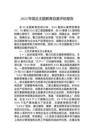 2023年国企主题教育自查评估报告