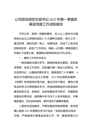 公司项目部党支部书记2023年第一季度抓基层党建工作述职报告
