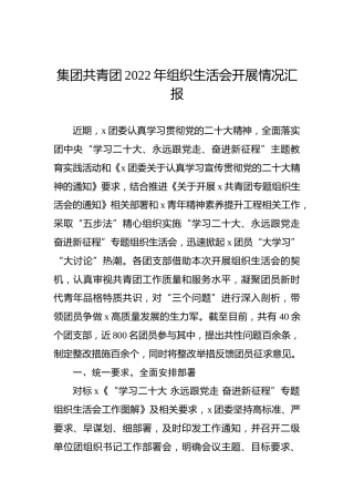 集团共青团2022年组织生活会开展情况汇报