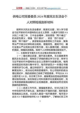 供电公司党委委员2024年度民主生活会个人对照检视剖析材料