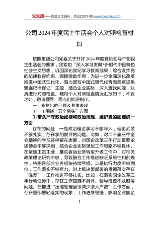 公司2024年度民主生活会个人对照检查材料