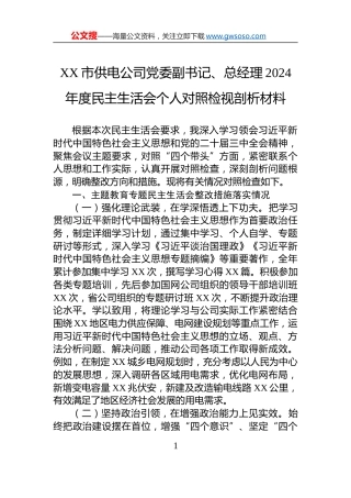 XX市供电公司党委副书记、总经理2024年度民主生活会个人对照检视剖析材料