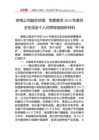 供电公司副总经理、党委委员2024年度民主生活会个人对照检视剖析材料