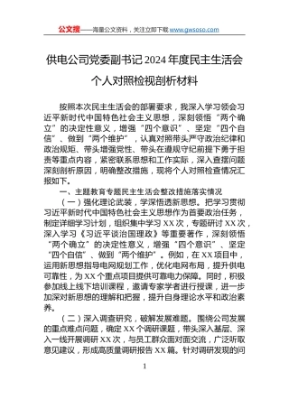 供电公司党委副书记2024年度民主生活会个人对照检视剖析材料
