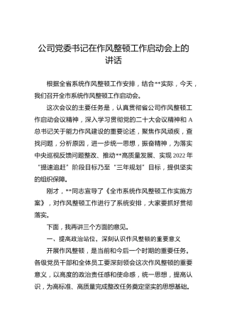 2022年公司党委书记在作风整顿工作启动会上的讲话