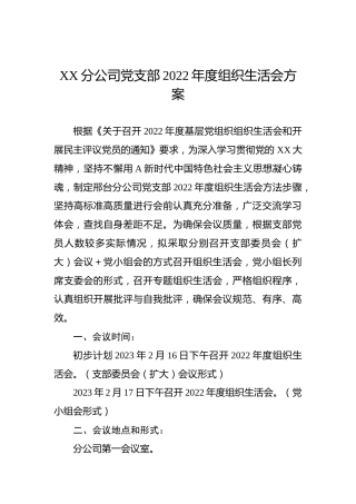 XX分公司党支部2022年度组织生活会方案