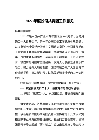 2022年度公司共青团工作意见