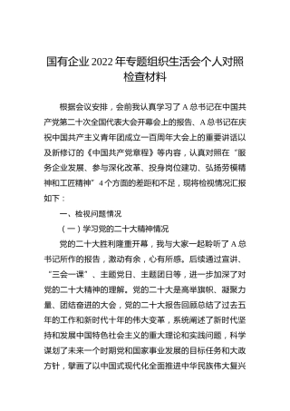 国有企业2022年专题组织生活会个人对照检查材料