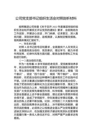 2022年度公司党支部书记组织生活会对照剖析材料