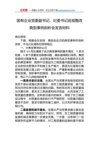 国有企业党委副书记、纪委书记巡视整改典型事例剖析会发言材料