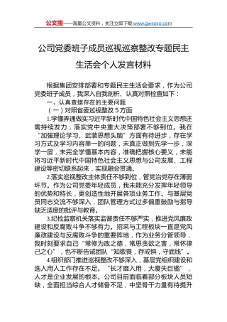 公司党委班子成员巡视巡察整改专题民主生活会个人发言材料