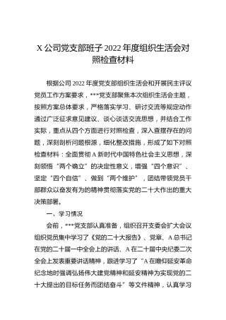 X公司党支部班子2022年度组织生活会对照检查材料
