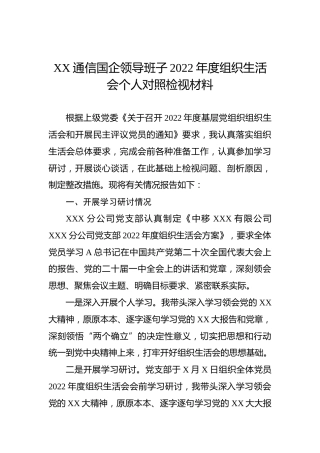 XX通信国企领导班子2022年度组织生活会个人对照检视材料