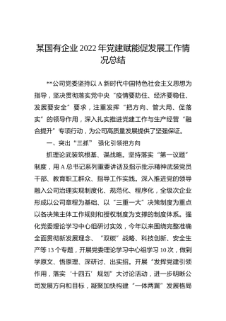 某国有企业2022年党建赋能促发展工作情况总结