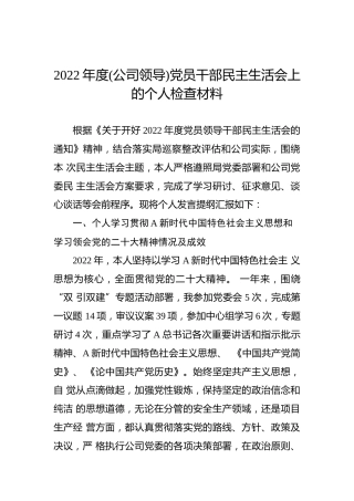 2022年度(公司领导)党员干部民主生活会上的个人检查材料