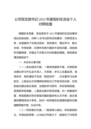 公司党支部书记2022年度组织生活会个人对照检查